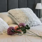Malta Apartment Katowicka Pool & Parking By Noclegi Renters